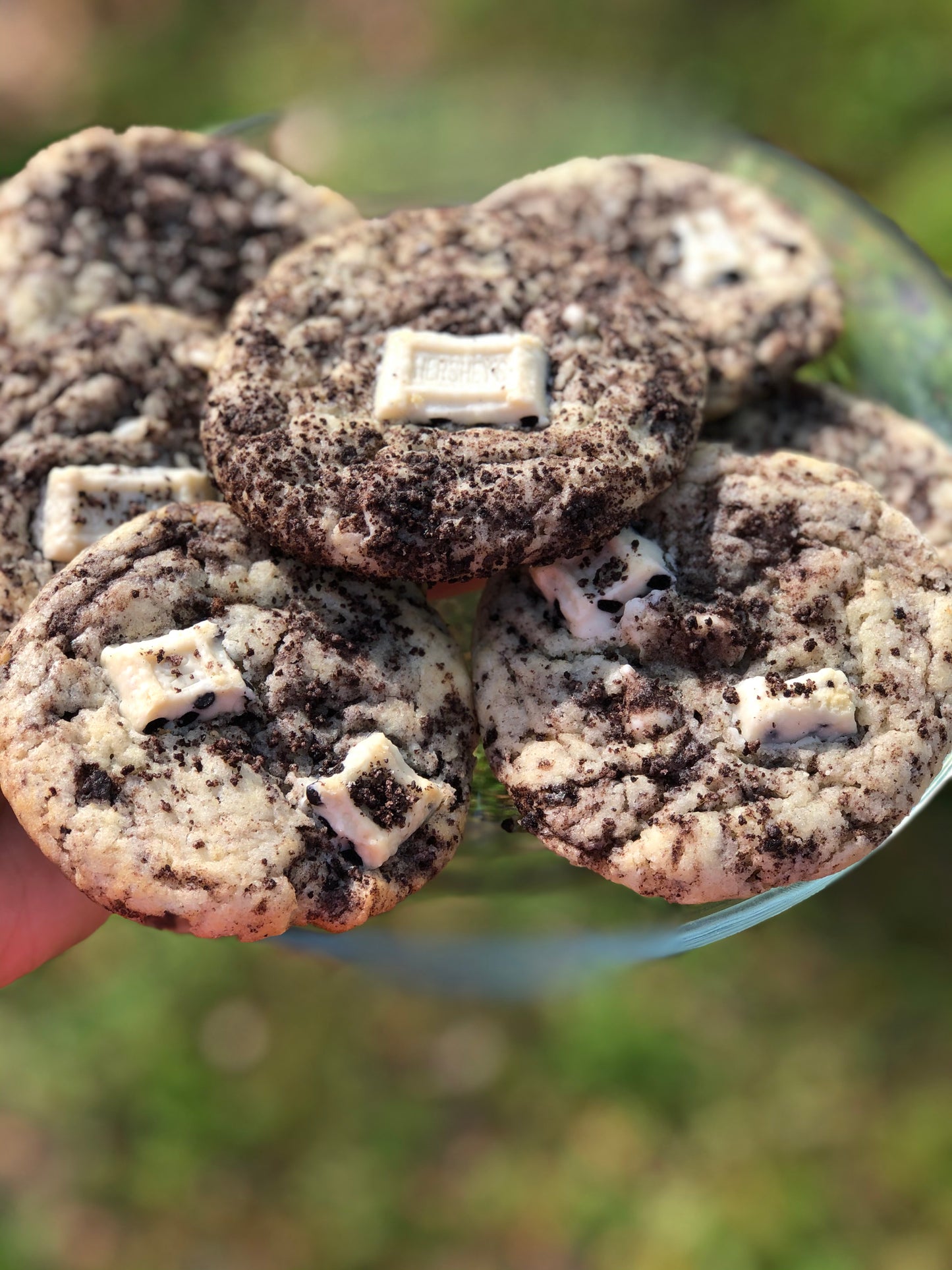 One Dozen (Classic Flavors)
